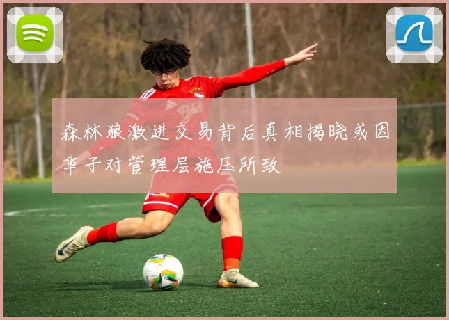 森林狼激进交易背后真相揭晓或因华子对管理层施压所致